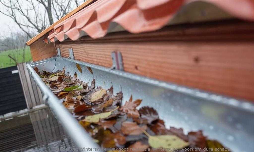 Dakgoot Reparatie Winterswijk 1