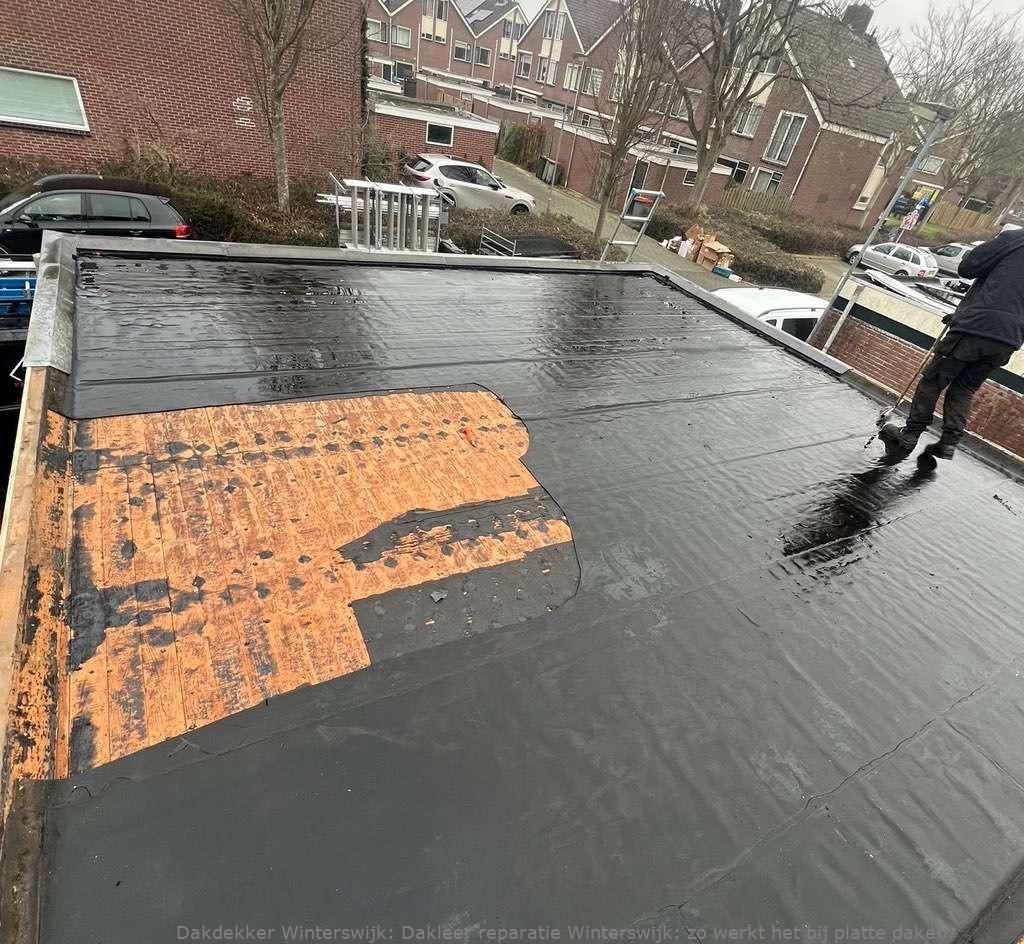 Dakleer Reparatie Winterswijk