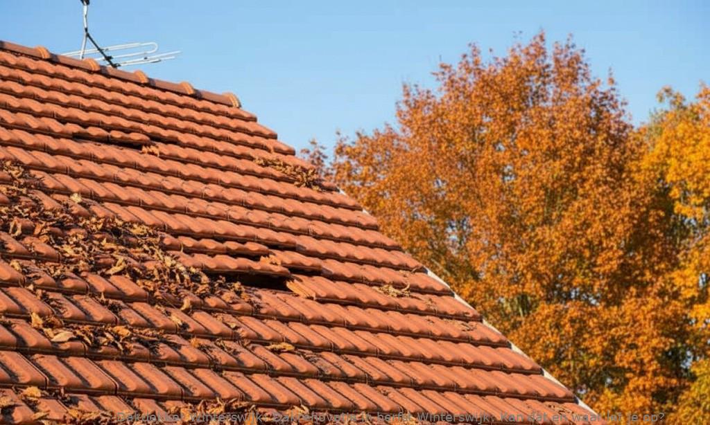 Dakrenovatie In Herfst Winterswijk