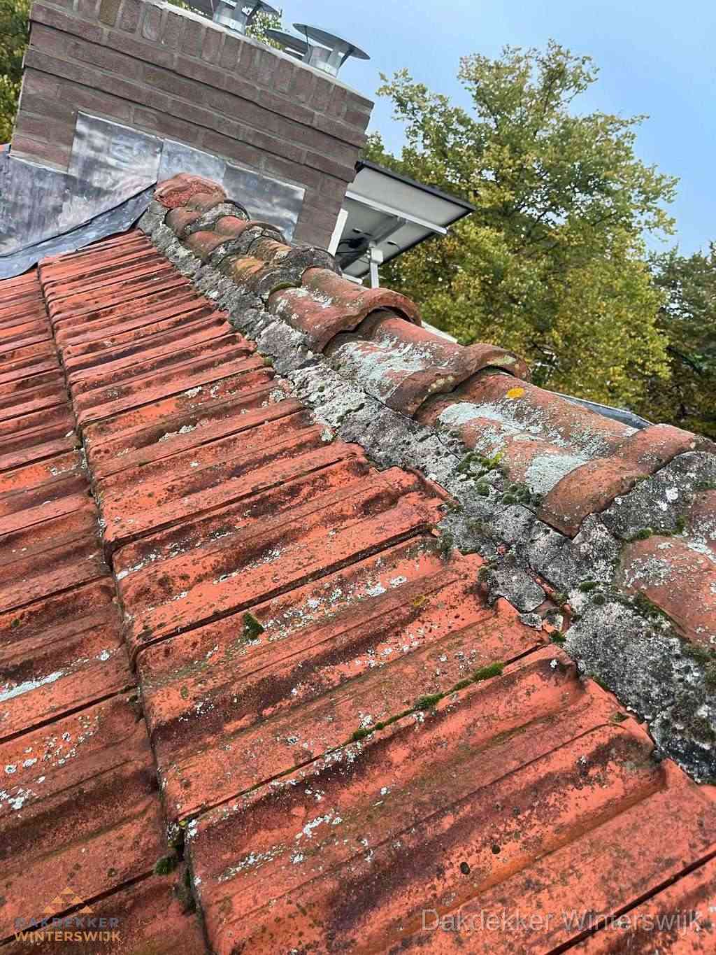 Renovatie Hellend Dak Winterswijk