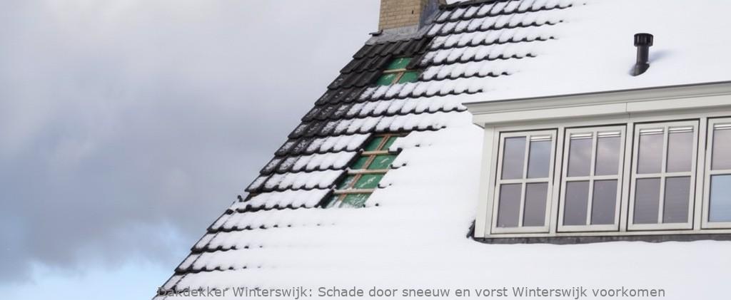Schade Door Sneeuw En Vorst Winterswijk
