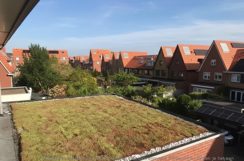 Verduurzamen Met Dakrenovatie Winterswijk