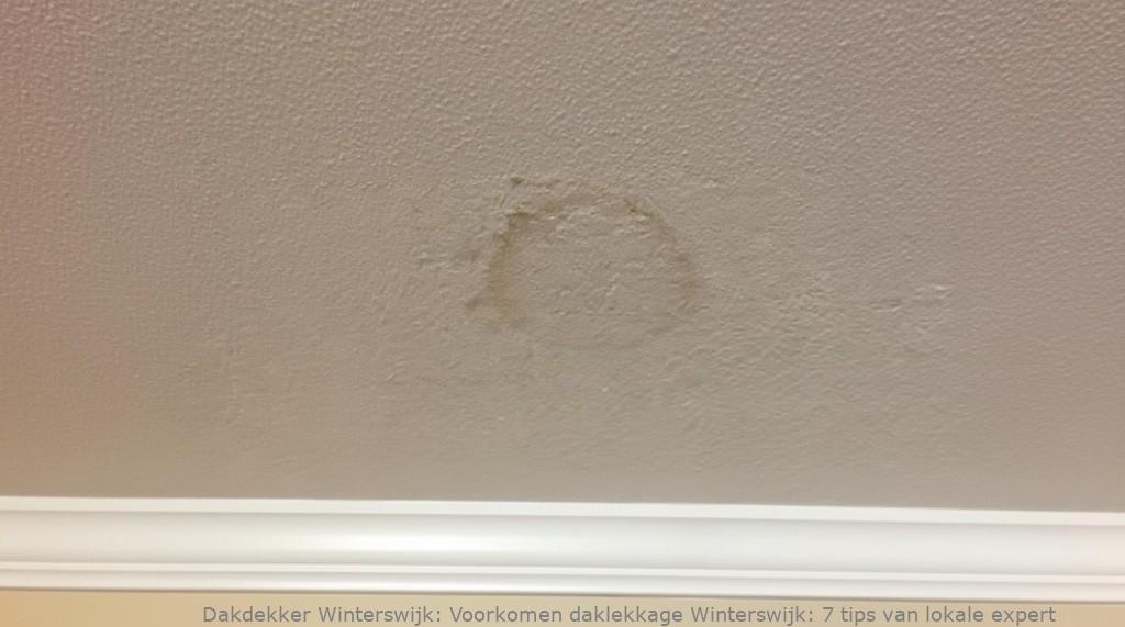 Voorkomen Daklekkage Winterswijk