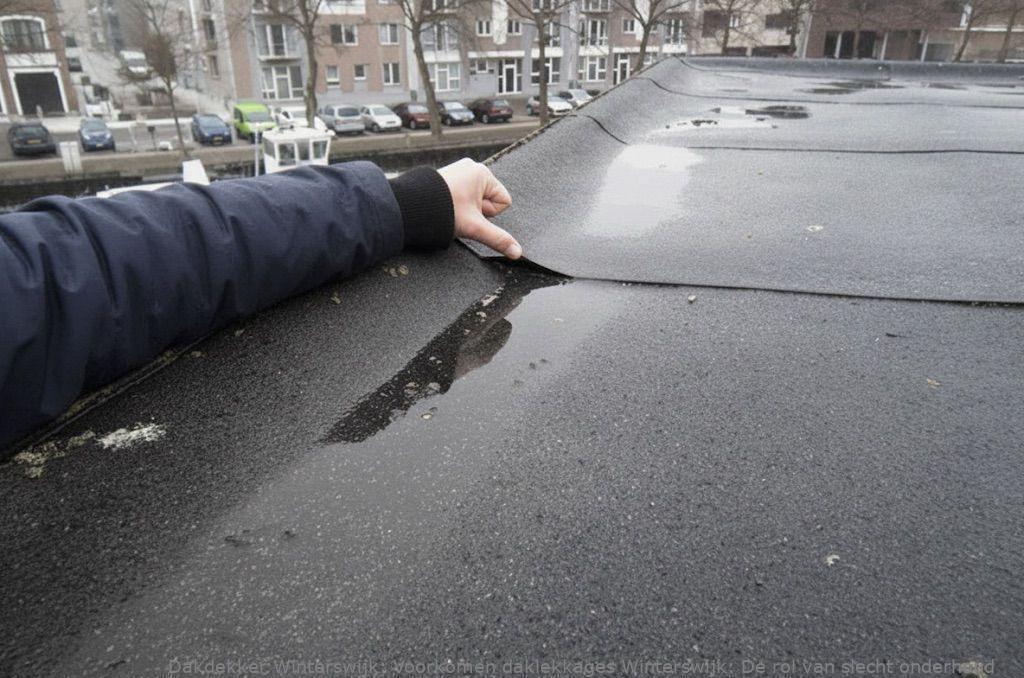 Voorkomen Daklekkages Winterswijk
