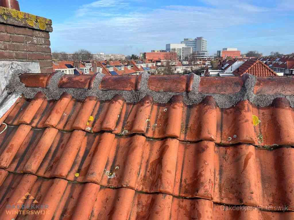 Winterswijk Daken Renoveren
